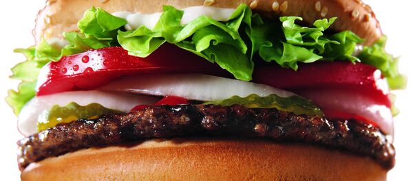 هامبورغر - سبوتنيك عربي