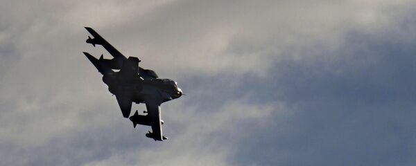 طائرة تجسس - سبوتنيك عربي