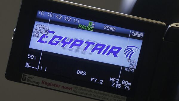 مصر للطيران - سبوتنيك عربي