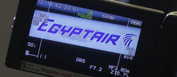 مصر للطيران - سبوتنيك عربي