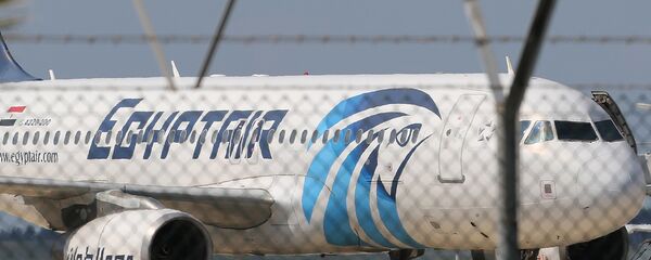 طائرة تابعة لشركة مصر للطيران - سبوتنيك عربي