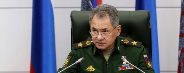 وزير الدفاع الروسي سيرغي شويغو - سبوتنيك عربي