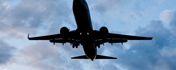 طائرة بوينغ 737-800 - سبوتنيك عربي