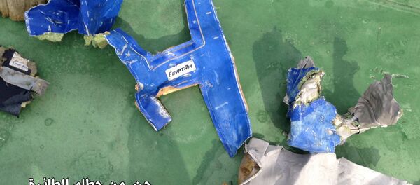 حطام الطائرة المصرية - سبوتنيك عربي