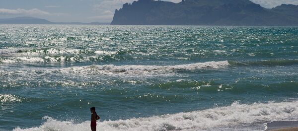 الاستجمام على شواطئ البحر الأسود في سبه جزيرة القرم، روسيا. الاستجمام على شواطئ البحر الأسود في سبه جزيرة القرم، روسيا. - سبوتنيك عربي