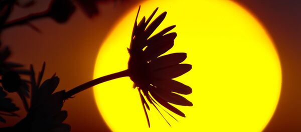 القرم - سبوتنيك عربي