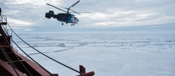 أركتيكا - سبوتنيك عربي