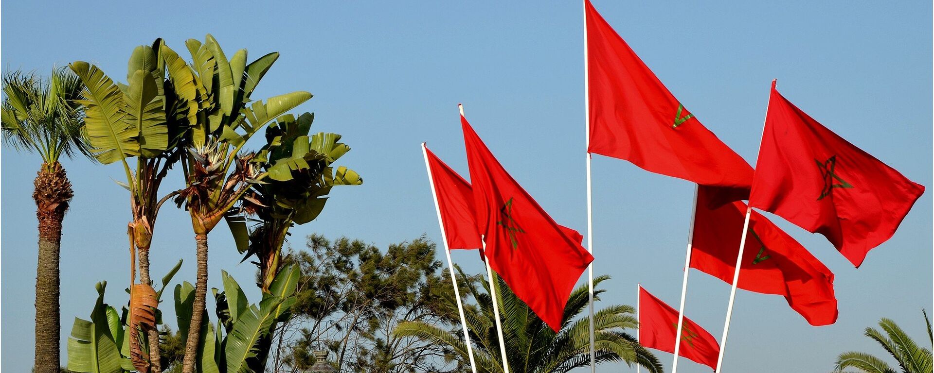 المغرب - سبوتنيك عربي, 1920, 14.06.2021