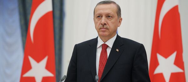 أردوغان - سبوتنيك عربي