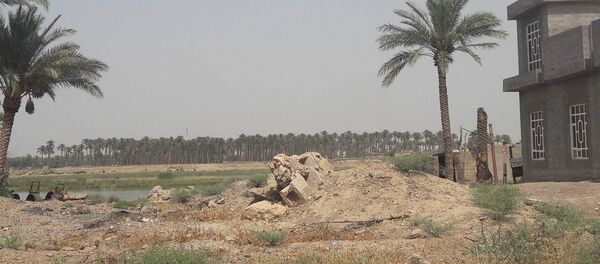 جنوب الفلوجة - سبوتنيك عربي