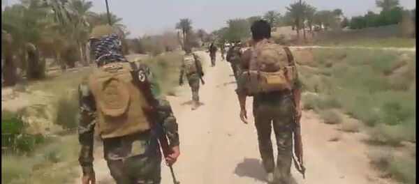 القوات العراقية تهزم داعش في جنوب الفلوجة - سبوتنيك عربي