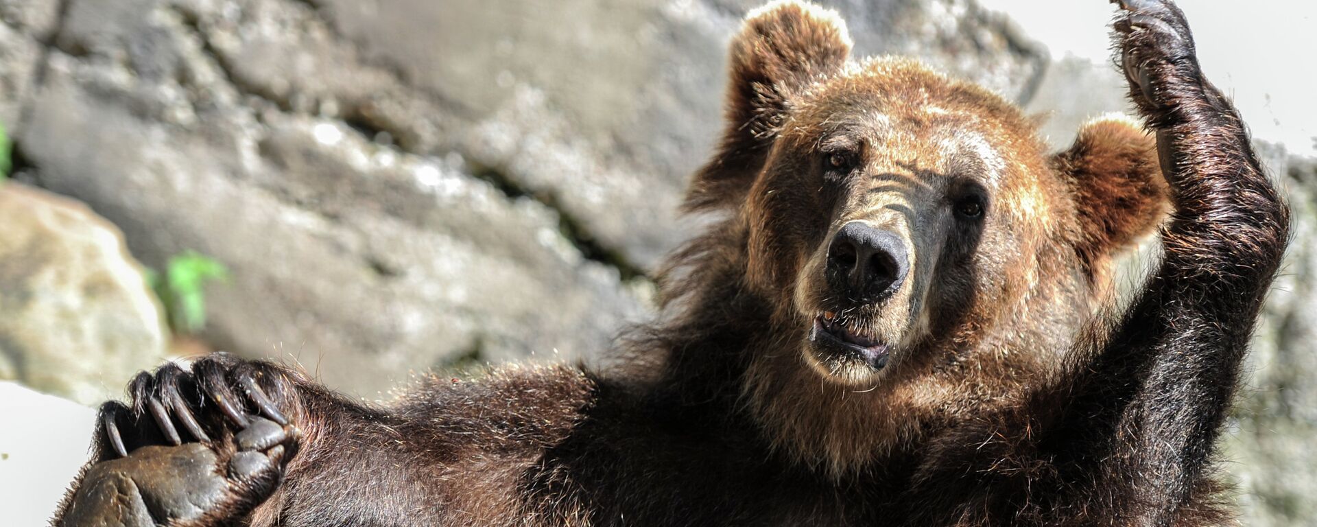 دب - سبوتنيك عربي, 1920, 17.08.2019