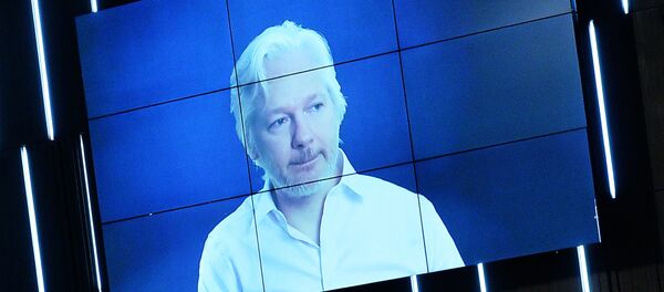 جوليان أسانج - سبوتنيك عربي