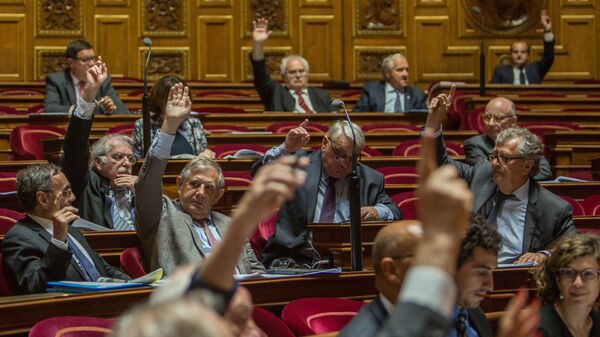 أعضاء مجلس الشيوخ الفرنسي  - سبوتنيك عربي