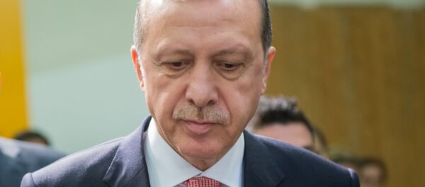 الرئيس التركي رجب طيب أردوغان الرئيس التركي رجب طيب أردوغان - سبوتنيك عربي