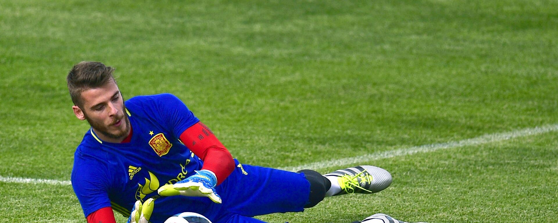 حارس الفريق الإسباني ديفيد دي خيا حارس الفريق الإسباني ديفيد دي خيا - سبوتنيك عربي, 1920, 30.09.2021