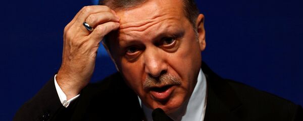 الرئيس التركي رجب طيب أردوغان - سبوتنيك عربي