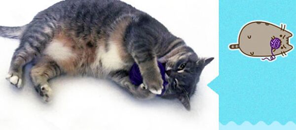 فرنسي بالتعاون مع قطه يعمل ملصقات للفيس بوك (صور) - سبوتنيك عربي