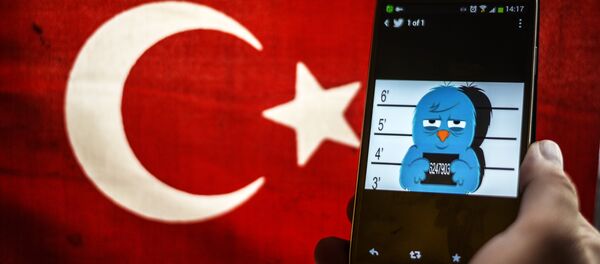 حرية التعبير في تركيا - سبوتنيك عربي