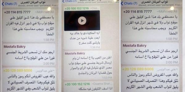 مجموعة البرلمان المصري - سبوتنيك عربي