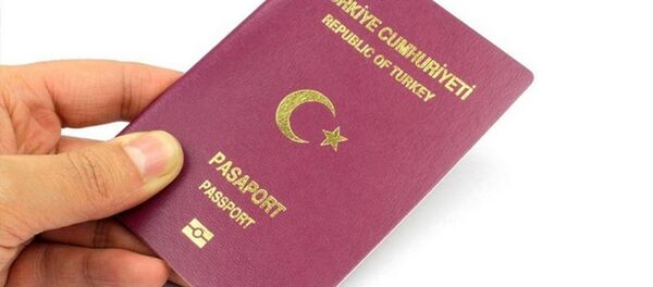 الجواز التركي - سبوتنيك عربي