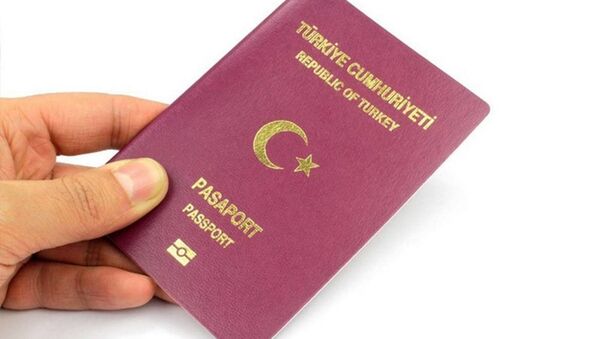 الجواز التركي - سبوتنيك عربي