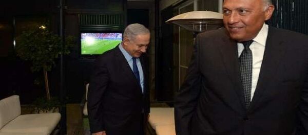 شكري ونتنياهو - سبوتنيك عربي