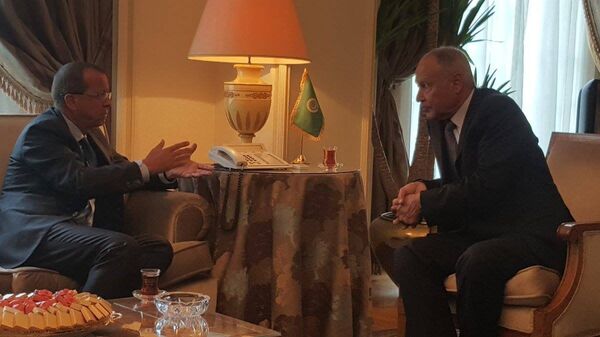 كوبلر وأبو الغيط - سبوتنيك عربي