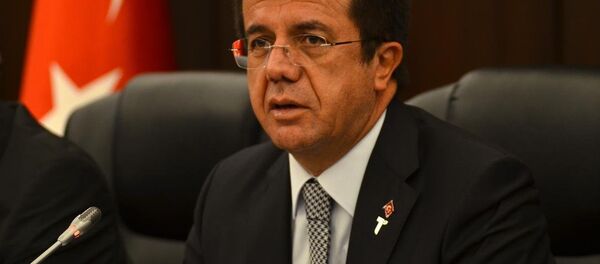 وزير الاقتصاد التركي - سبوتنيك عربي