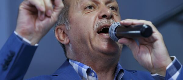 الرئيس التركي رجب طيب أردوغان - سبوتنيك عربي