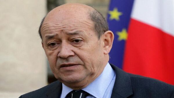 وزير الدفاع الفرنسي جان إيف لودريان، - سبوتنيك عربي