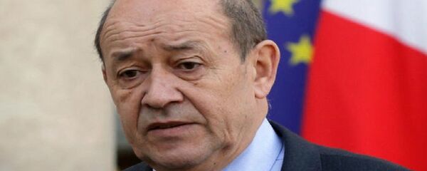 وزير الدفاع الفرنسي جان إيف لودريان - سبوتنيك عربي