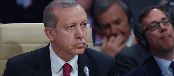 أردوغان - سبوتنيك عربي