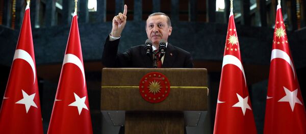 أردوغان - سبوتنيك عربي