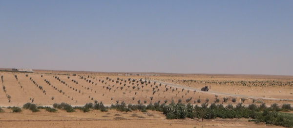 سوريا سوريا - سبوتنيك عربي