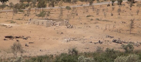 الجيش السوري يدمر عن بعد سيارتين انتحاريتين لـداعش شرق حماة - سبوتنيك عربي