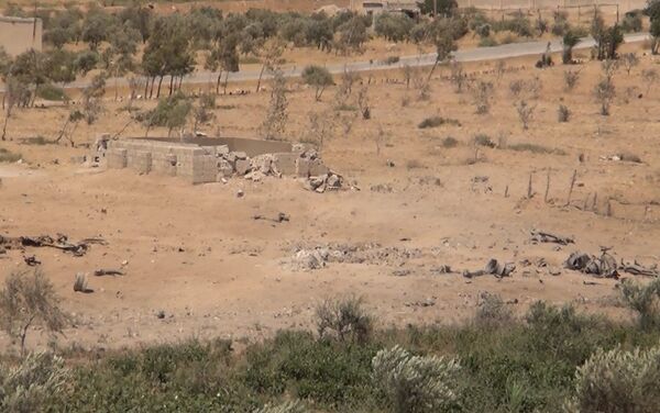 الجيش السوري يدمر عن بعد سيارتين انتحاريتين لـداعش شرق حماة - سبوتنيك عربي