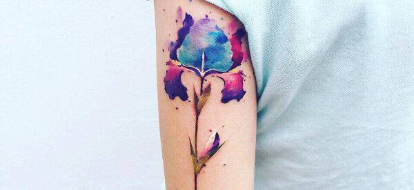 Pis Saro تاتو - سبوتنيك عربي