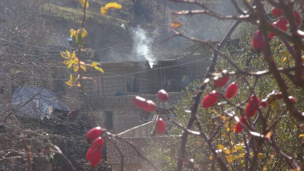 هدير الطائرات الروسية منحت الفلاحين الأمان وأرعبت المسلحين - سبوتنيك عربي