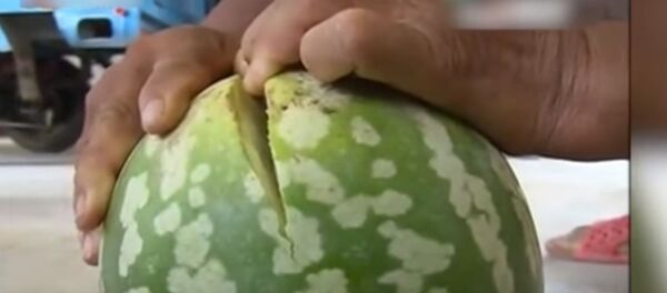 بطيخ غير قابل للكسر - سبوتنيك عربي