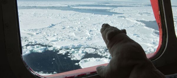 غرفة قيادة كاسحة الجليد يامال - سبوتنيك عربي
