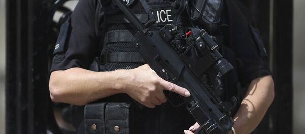 الشرطة البريطانية - سبوتنيك عربي