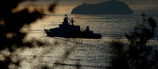 طراد فارياغ - سبوتنيك عربي