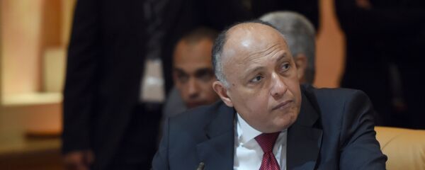 وزير الخارجية المصري، سامح شكري - سبوتنيك عربي