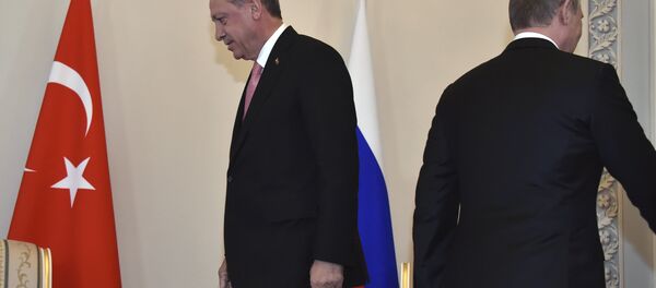 لقاء الرئيس فلاديمير بوتين والرئيس رجب طيب أردوغان - سبوتنيك عربي