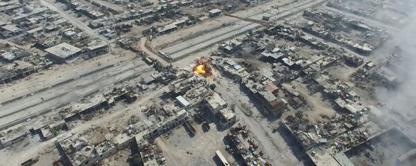 حلب، سوريا - سبوتنيك عربي