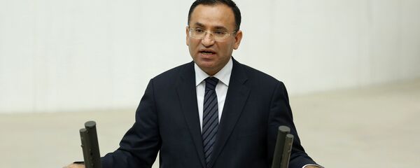 وزير العدل التركي بكير بوزداغ - سبوتنيك عربي