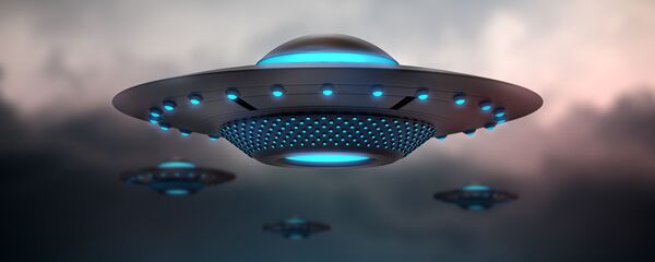 طبق طائر - سبوتنيك عربي