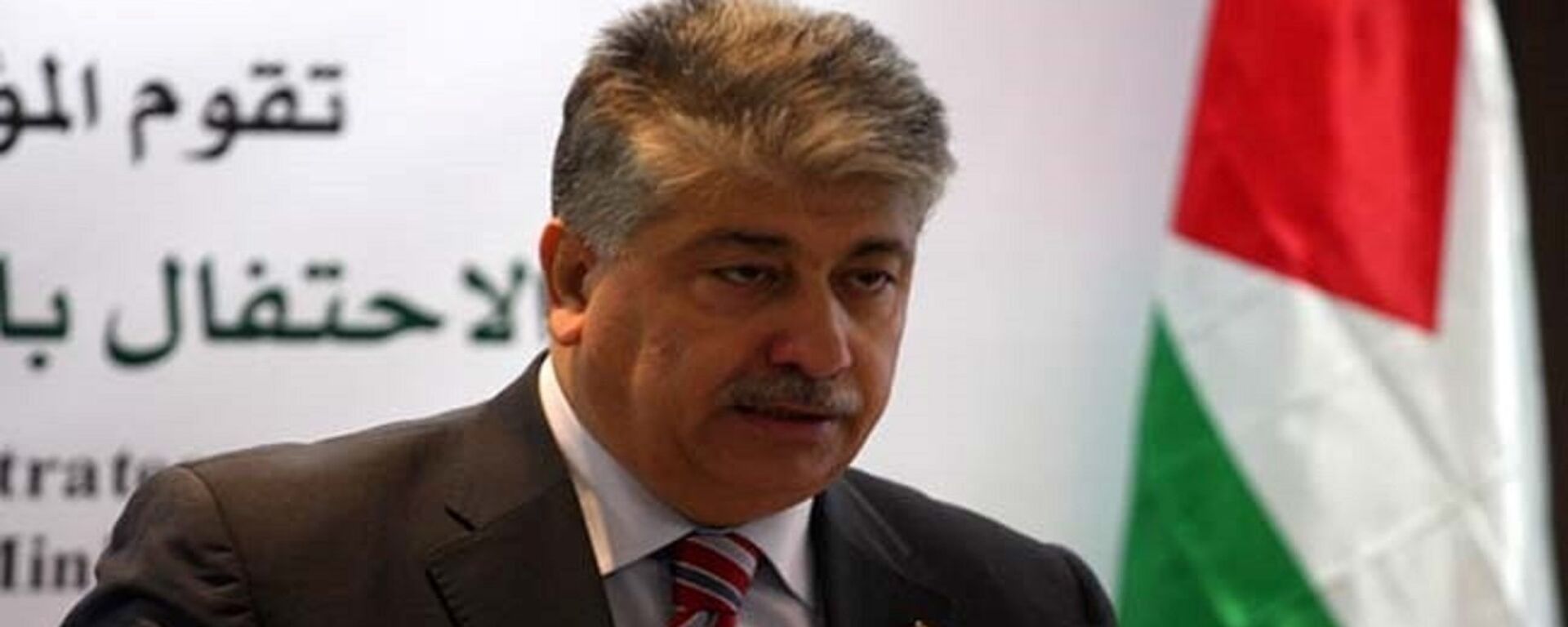 عضو اللجنة التنفيذية لمنظمة التحرير الفلسطينية أحمد مجدلاني عضو اللجنة التنفيذية لمنظمة التحرير الفلسطينية أحمد مجدلاني - سبوتنيك عربي, 1920, 26.11.2022