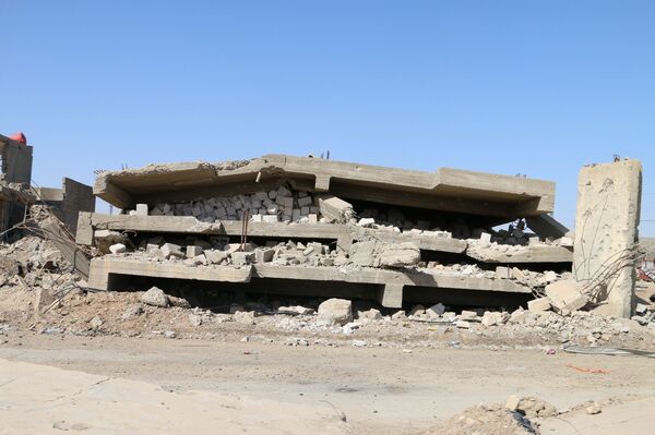 العراق - الرمادي - سبوتنيك عربي